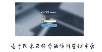 上海互聯(lian)網(wang)軟(ruan)件(jian)集(ji)團 高端(duan)協同管理軟件與(yu)咨詢(xun)服(fu)務(wu)領軍(jun)者